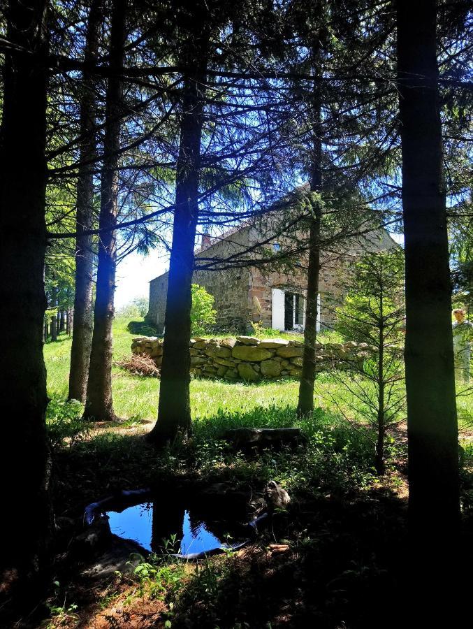 La Ferme Du Crie Bed & Breakfast Chaudeyrolles Exterior photo